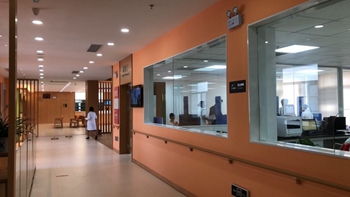 广东海外建设咨询 以技术服务驱动国际化进程，图片新闻见证发展足迹